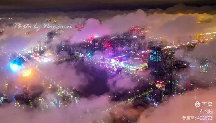 想知道养狗后你的私人空间会变成什么样吗?至少你不孤单了